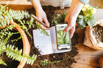 The Best Gardening Apps For iOS And Andriod Every Gardener Needs In 2023